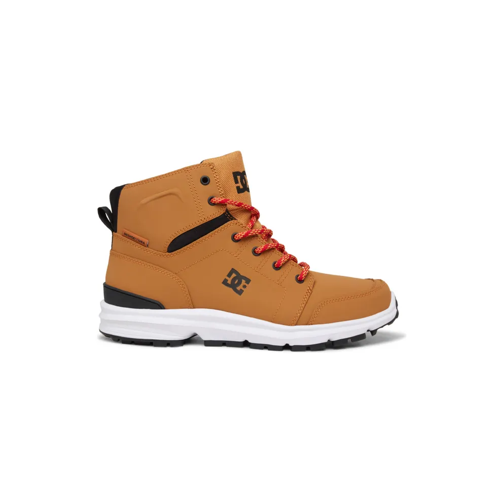 DC Torstein Brown (ADYB700032wea)