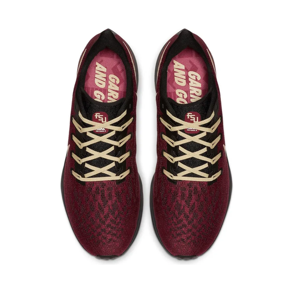 Nike Air Zoom Pegasus 36 Florida State