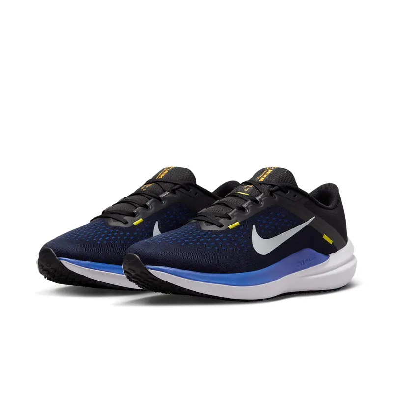 Nike Winflo 10 Black (DV4022-005)