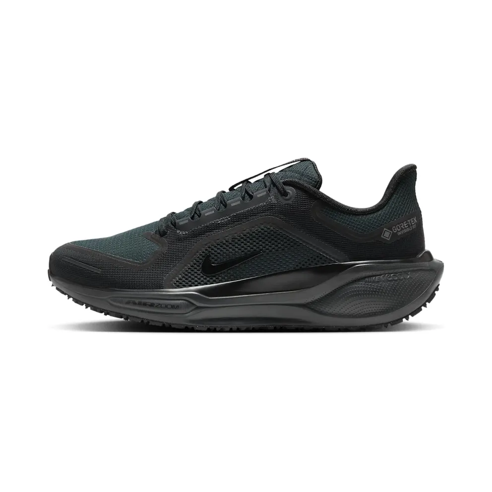Nike Air Zoom Pegasus 41 GTX “Black Anthracite” (FQ1356-001)