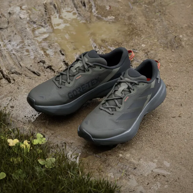 Adidas Terrex Shadow Olive / Core Black / Olive Strata (JQ1965)