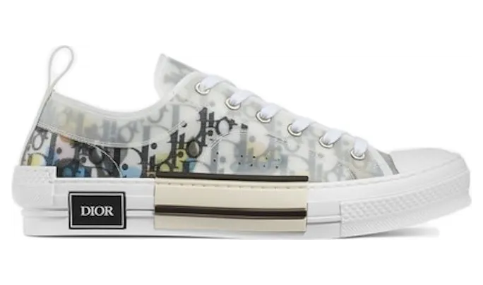 Dior B23 Low Top Alex Foxton Oblique