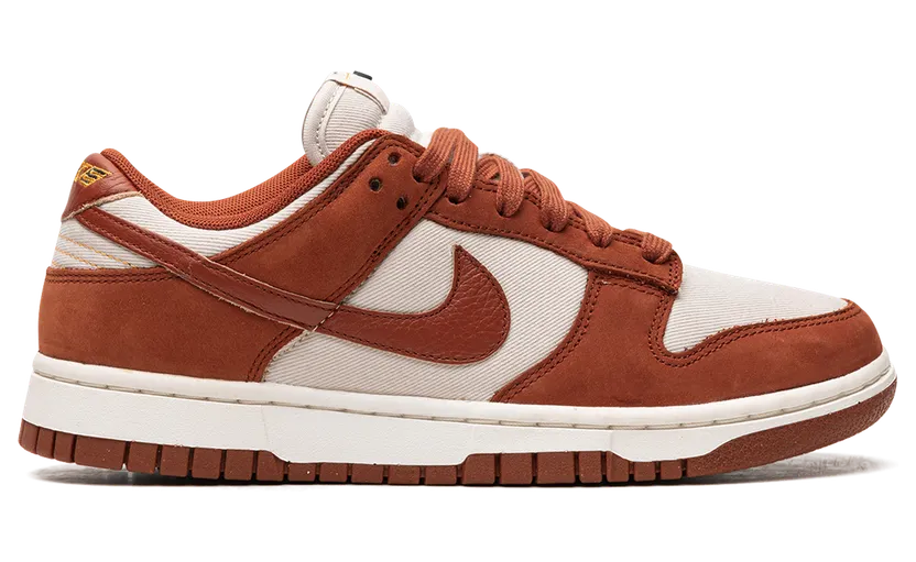 nike-dunk DZ2710-101