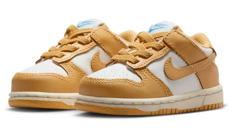 nike-dunk FB9107-700
