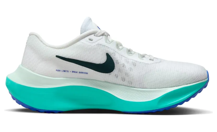nike-zoom DM8974-101