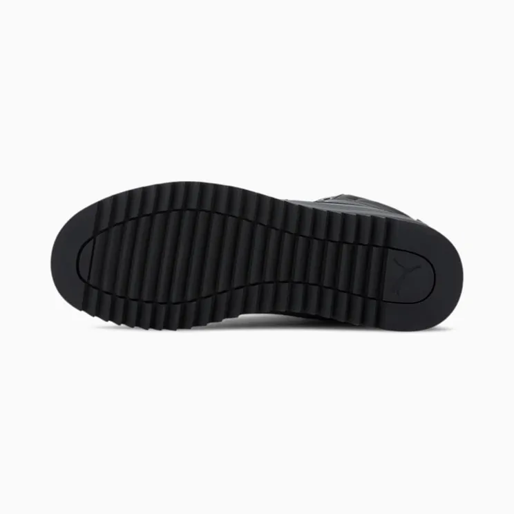 puma-desierto 373026-02