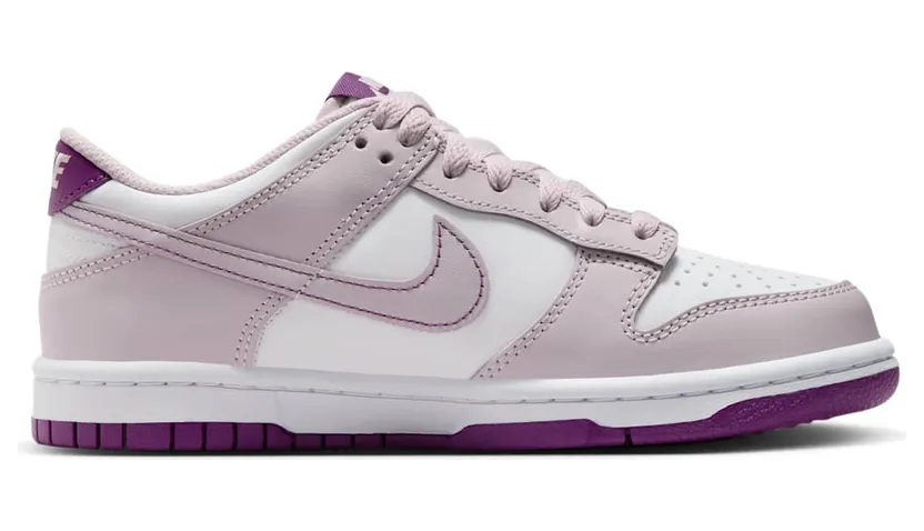 nike-dunk FB9109-104