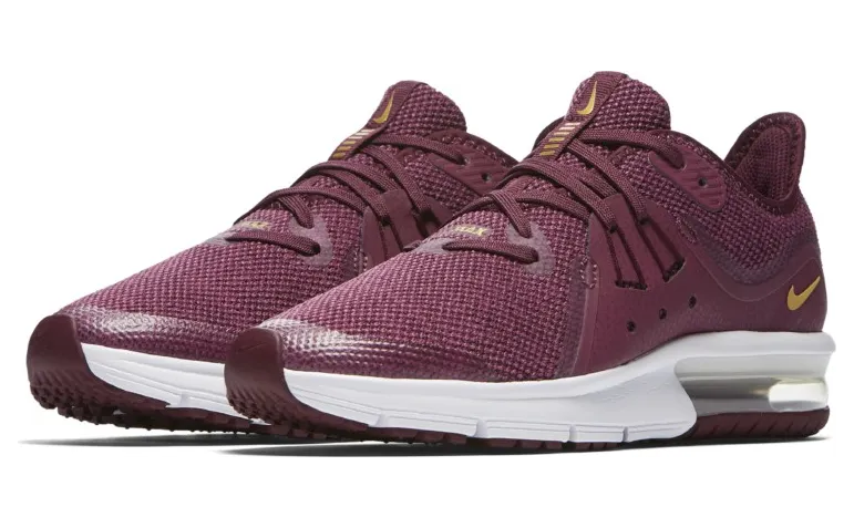 Nike Air Max Sequent 3 Bordeaux Metallic Gold (GS)