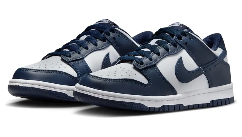 nike-dunk FB9109-116