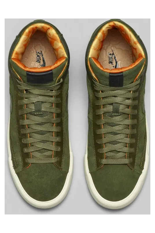 nike-sb 718768-208