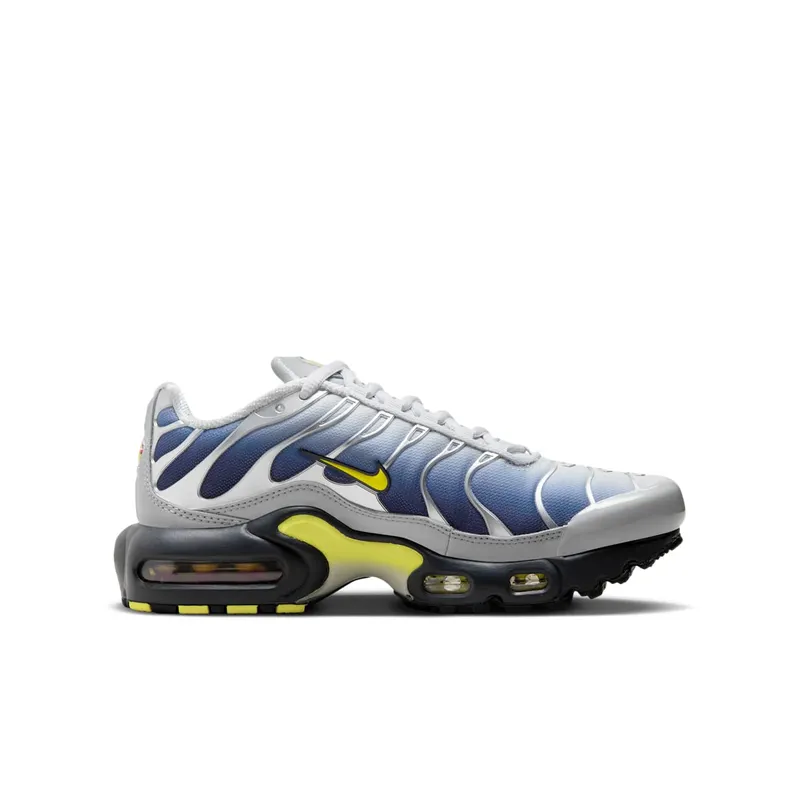 Nike Air Max Plus Obsidian Silver (HF0030-001)