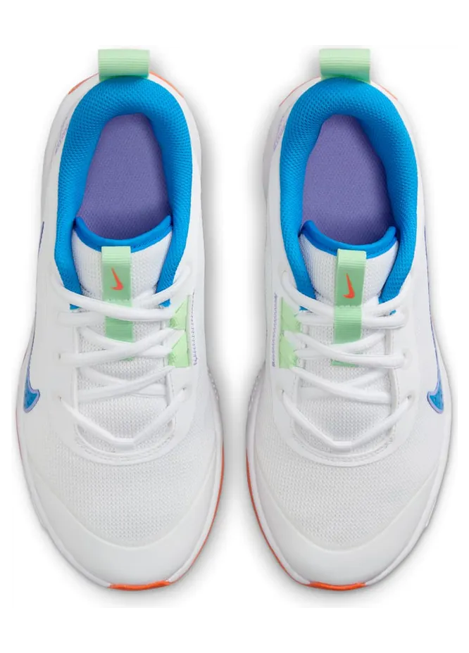 nike-omni-multi-court DM9027-107