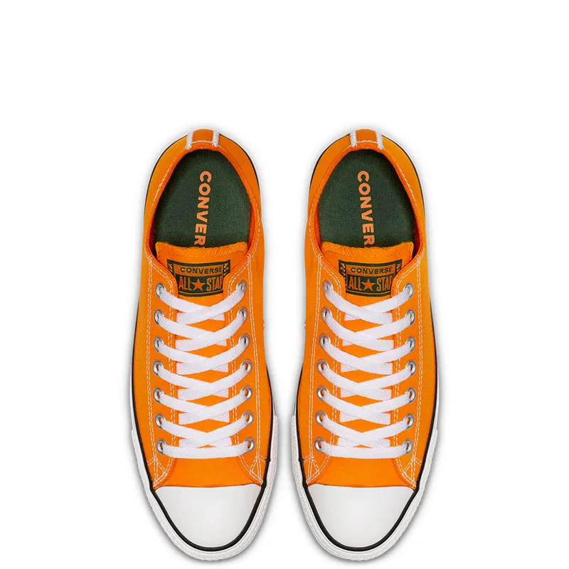 Converse Chuck Taylor All Star Summer Sport Low Top (164413C)