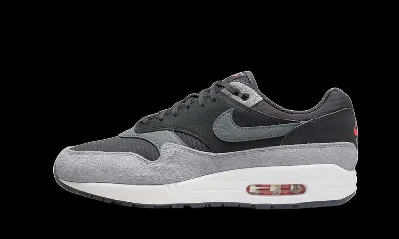 Nike Air Max 1 PRM Duck Pecan (HJ9292-070)