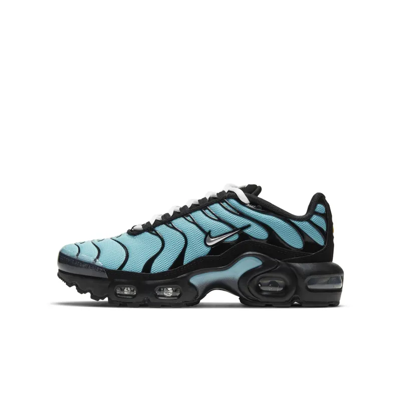 Nike Air Max Plus Older Kids’ Blue (CD0609-405)