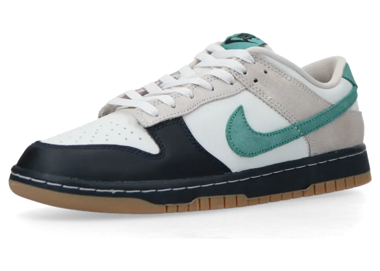 nike-dunk HQ3483-104