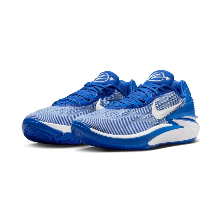 nike-air-zoom FJ8915-400