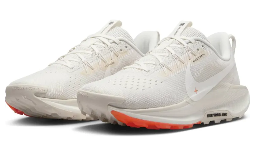 nike-air-pegasus DV3865-003