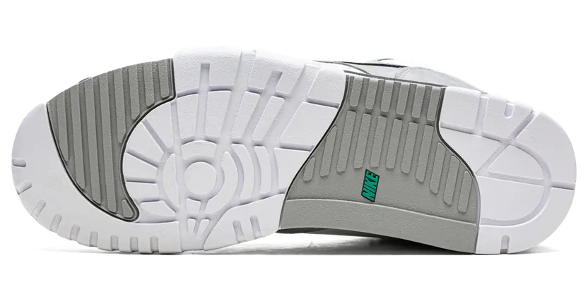 air-jordan-trainer-1 DM0521-100