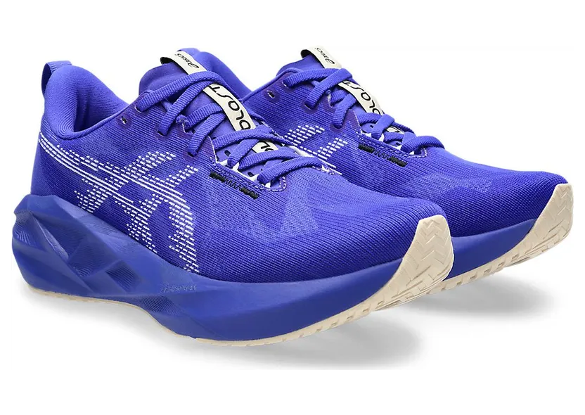 asics-novablast 1012B765-403