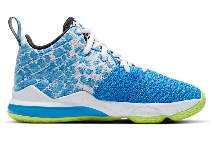 nike-lebron-17 BQ5595-434