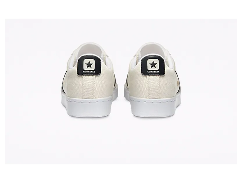 converse-pro-leather 170752C
