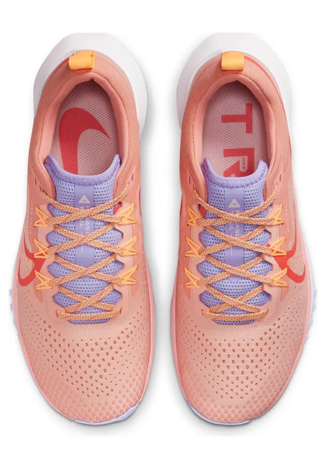 nike-air-pegasus DJ6159-800