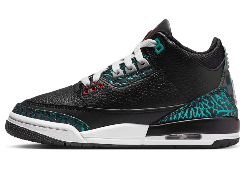 Air Jordan 3 FV5437-001
