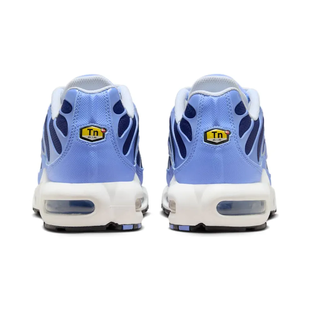 Nike Air Max Plus Blue (DM0032-403)