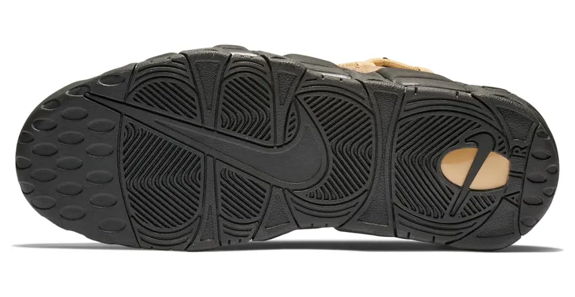 nike-air-more-money AJ2998-700