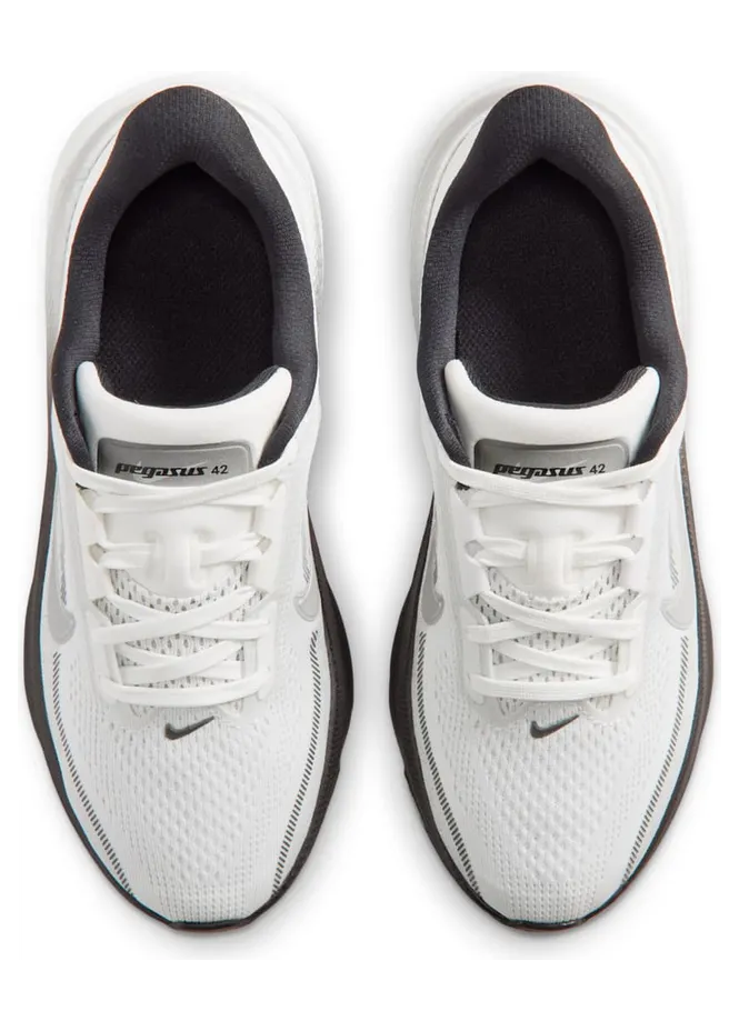 nike-air-pegasus IR4146-100