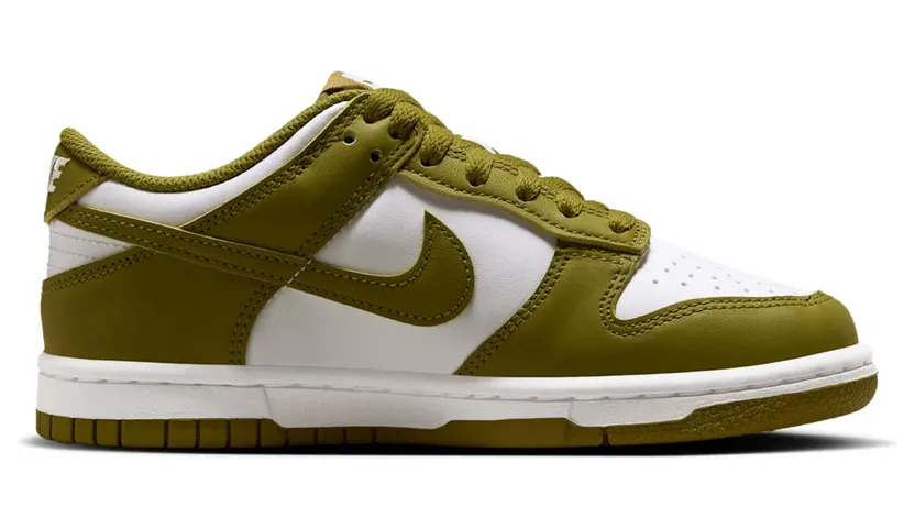 nike-dunk FB9109-108