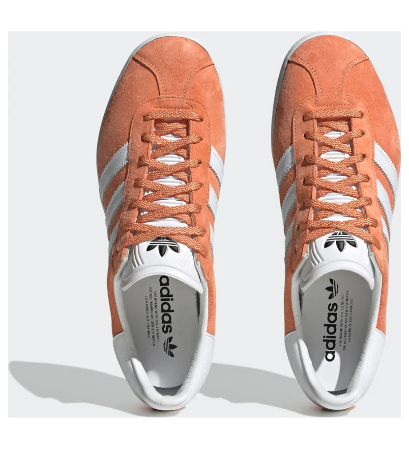 adidas-gazelle GY2531
