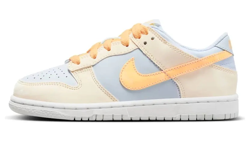 nike-dunk FB9108-100