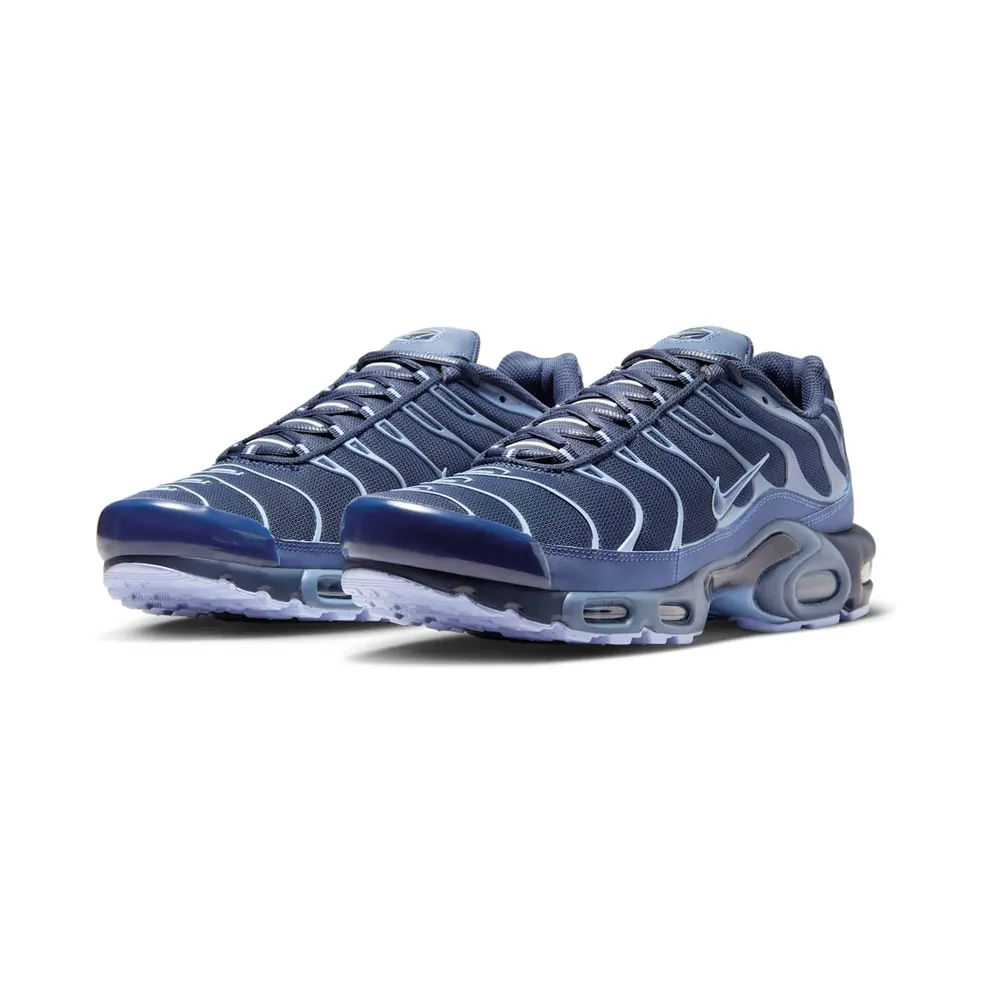 Nike Air Max Plus Obsidian Aluminum (IM6601-451)