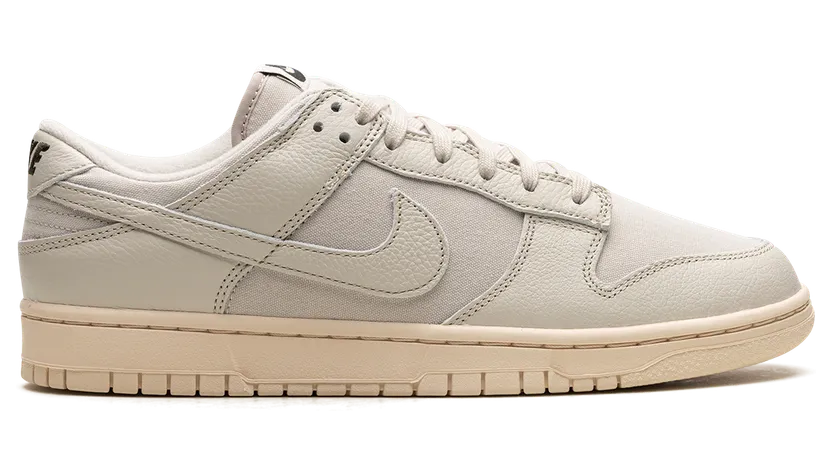 nike-dunk DZ2538-100