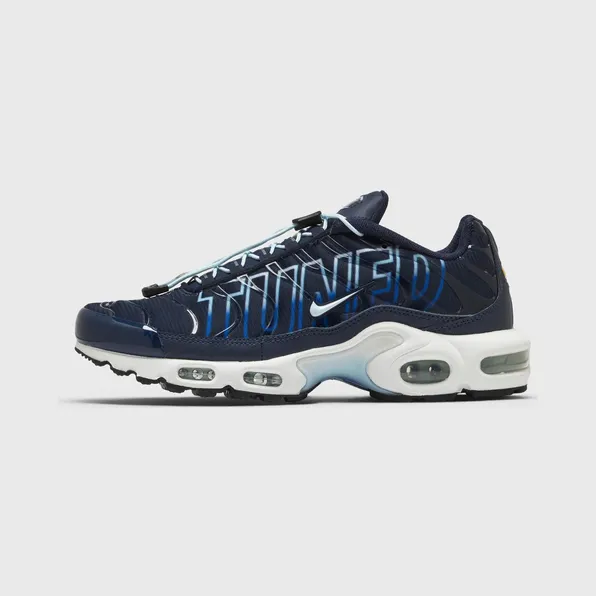 Nike Air Max Plus Tuned Air Obsidian
