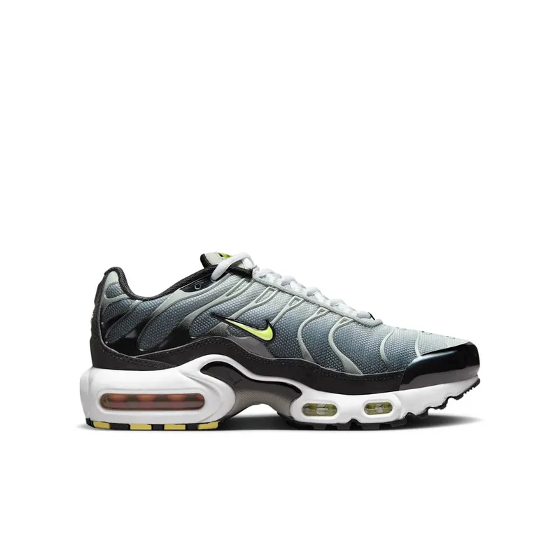 Nike Air Max Plus Black Bright Cactus (CD0609-022)