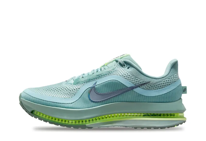 Nike Air Zoom Pegasus Premium Cannon (HQ2592-009)