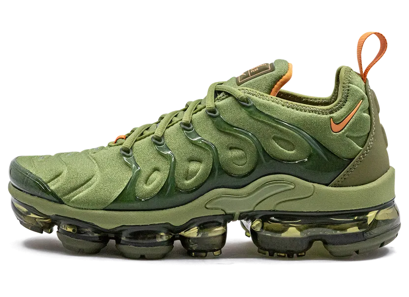 Nike AIR VAPORMAX PLUS MNS “Alligator” (FD0295-300)