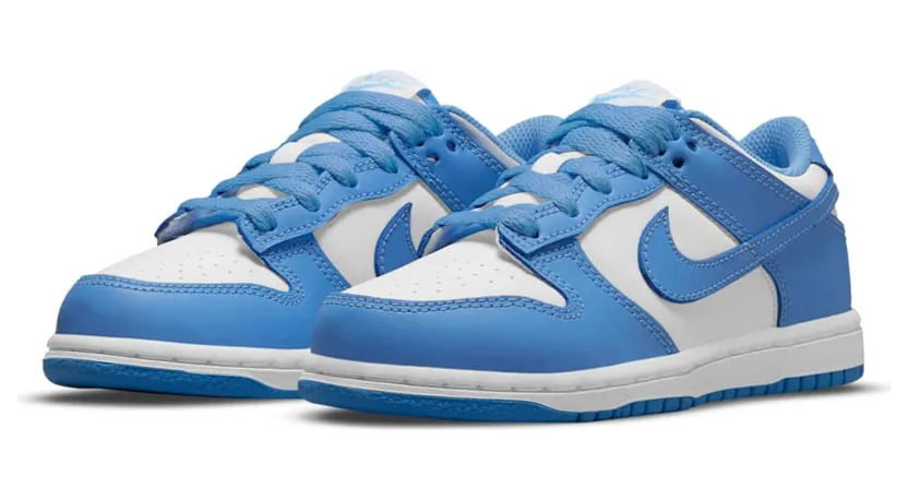 nike-dunk CW1588-103