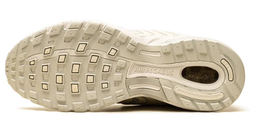 nike-air-pegasus IB2983-001