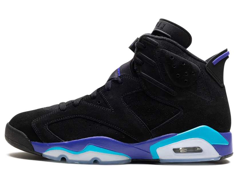 Air Jordan 6 Retro Black/Aquatone/Bright Concord (CT8529-004)
