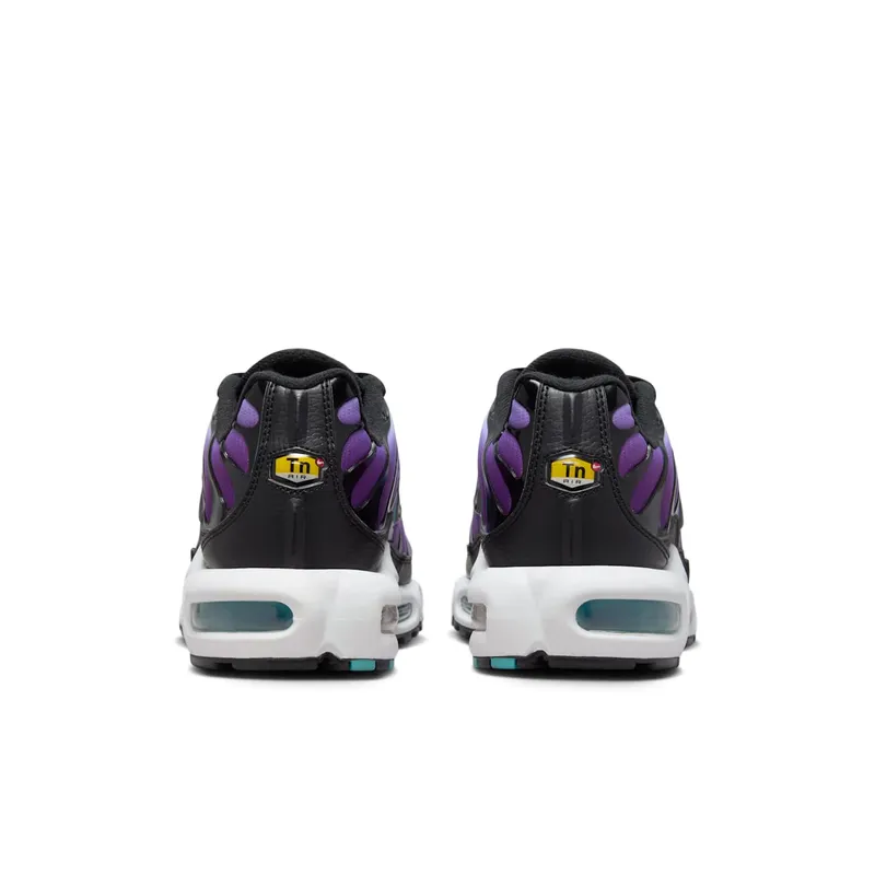 Nike Air Max Plus Reverse Grape (FQ2415-500)