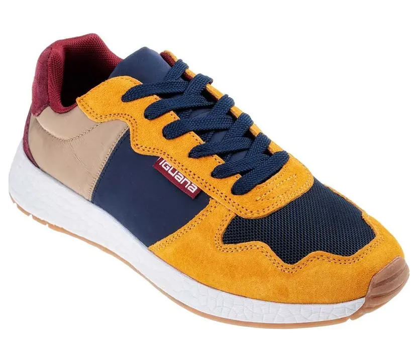 Iguana sneaker Brown / Navy / Wine (M000139592)