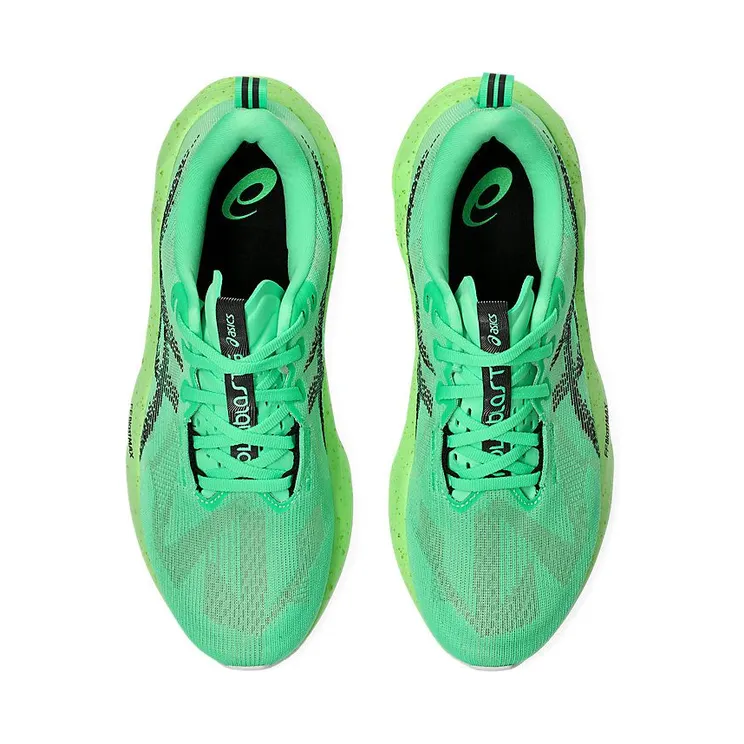 asics-novablast 1011C224-300