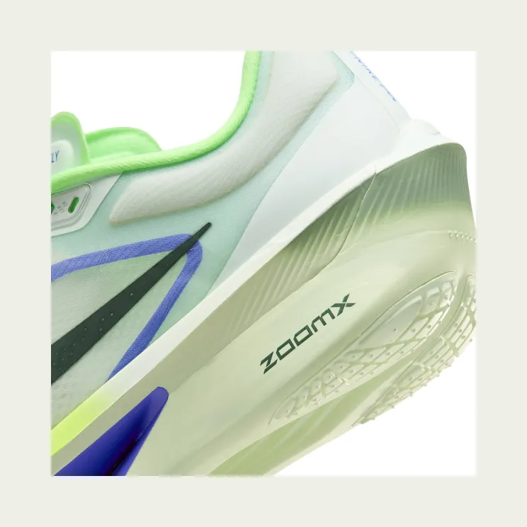nike-zoom FN8454-300