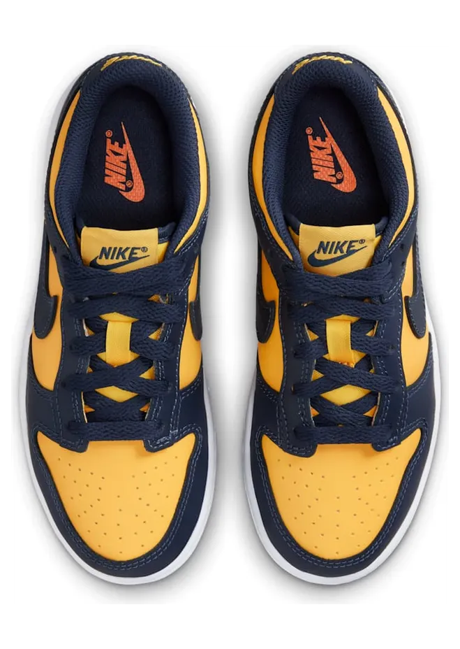 nike-dunk CW1588-700