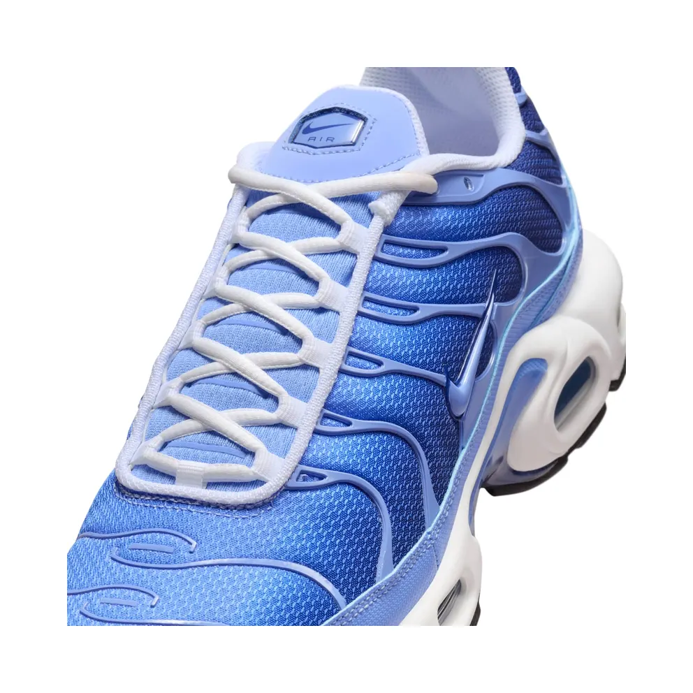 Nike Air Max Plus Blue (DM0032-403)