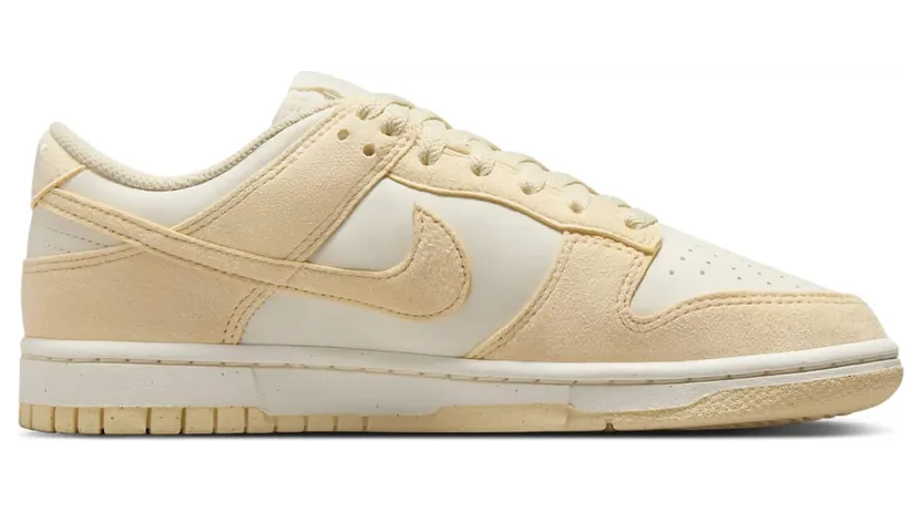 nike-dunk HJ7673-004